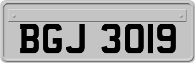 BGJ3019