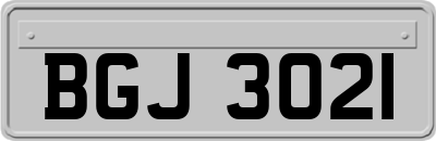 BGJ3021
