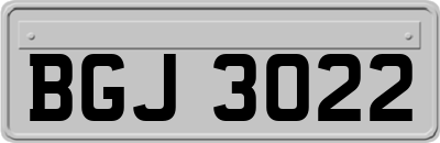 BGJ3022