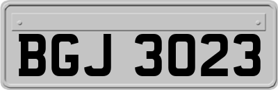BGJ3023