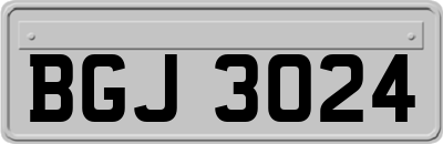 BGJ3024