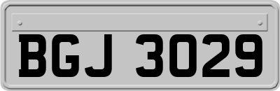 BGJ3029