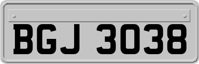BGJ3038