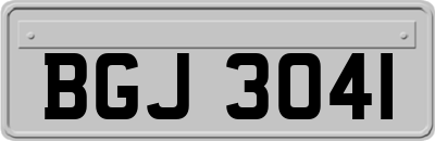 BGJ3041