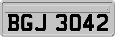 BGJ3042