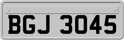 BGJ3045