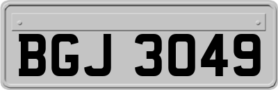 BGJ3049