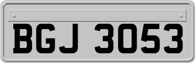 BGJ3053