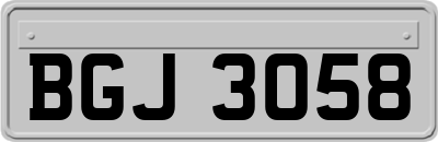 BGJ3058