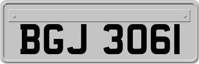 BGJ3061