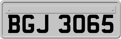 BGJ3065
