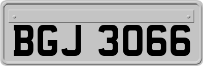 BGJ3066