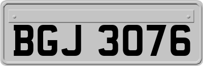 BGJ3076