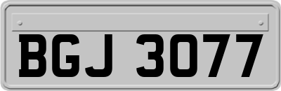 BGJ3077