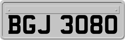 BGJ3080