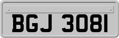BGJ3081