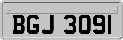 BGJ3091