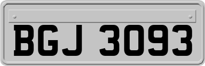 BGJ3093