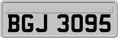BGJ3095
