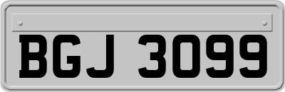 BGJ3099
