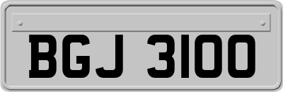 BGJ3100