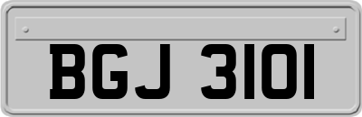 BGJ3101