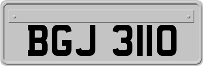 BGJ3110