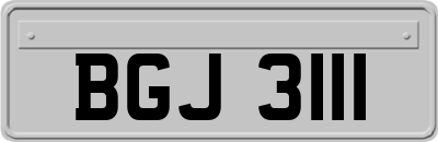 BGJ3111