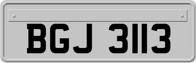 BGJ3113