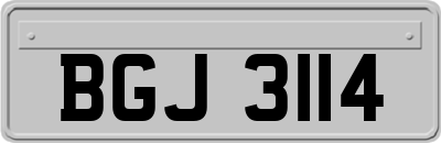 BGJ3114