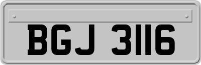 BGJ3116