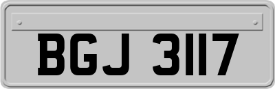 BGJ3117