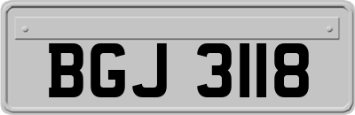 BGJ3118
