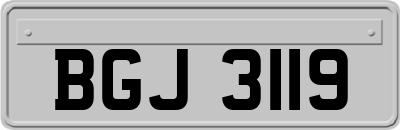 BGJ3119