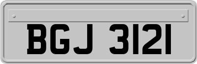 BGJ3121