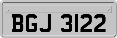 BGJ3122