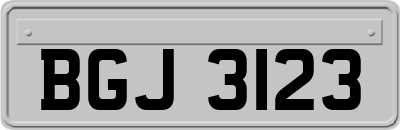 BGJ3123