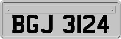 BGJ3124
