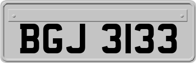 BGJ3133