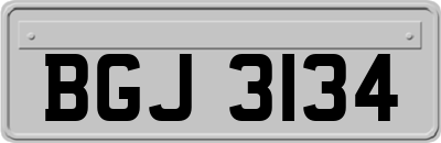 BGJ3134