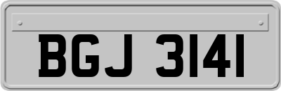 BGJ3141