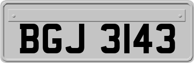 BGJ3143