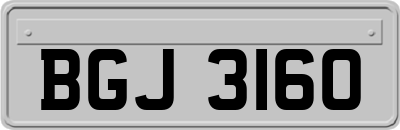 BGJ3160