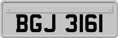 BGJ3161