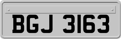 BGJ3163