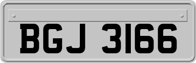 BGJ3166