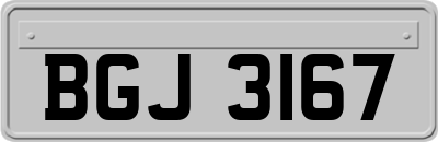 BGJ3167