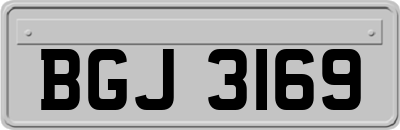 BGJ3169