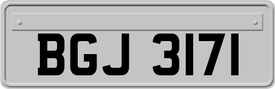 BGJ3171
