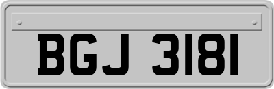 BGJ3181